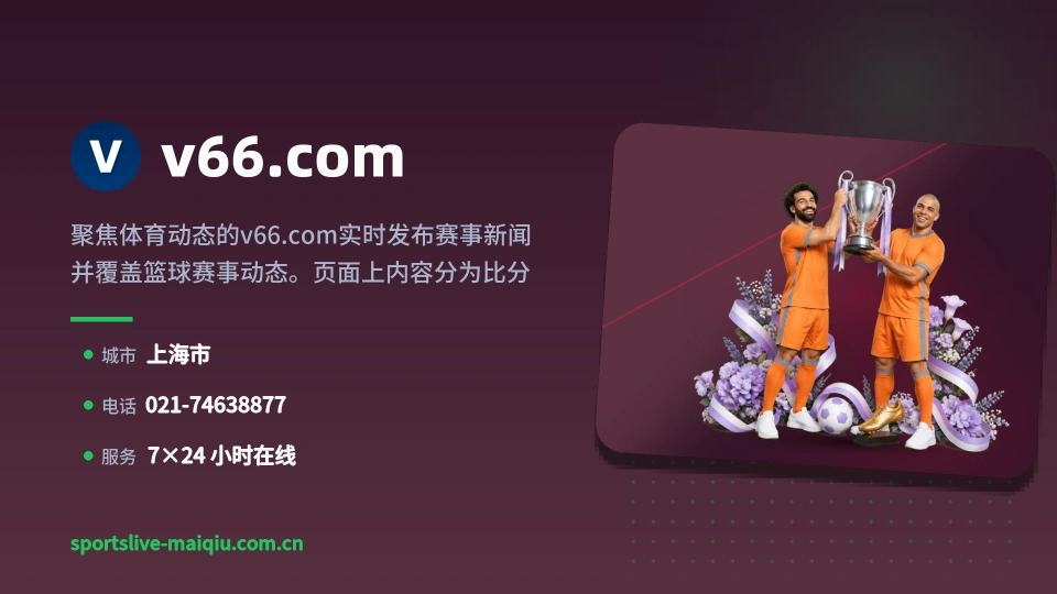 v66.com介绍